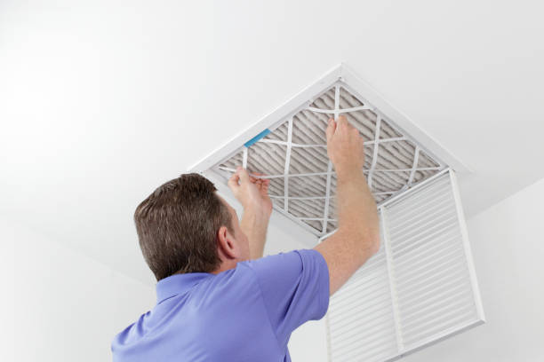 Best Mold and Mildew Removal from Ducts in Waurika, OK